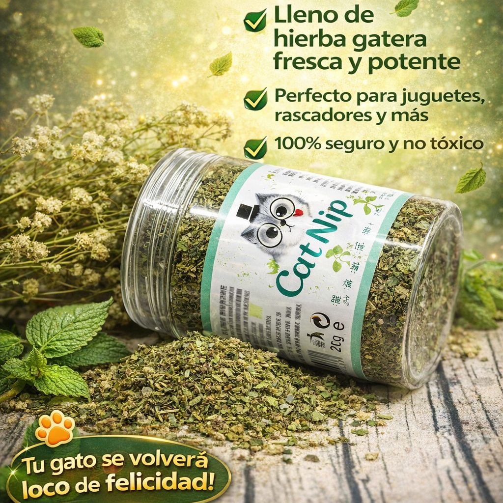 Cat Nip para Gatos